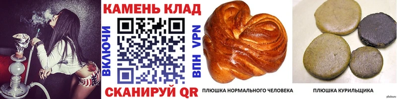 ГАШИШ Изолятор Севск