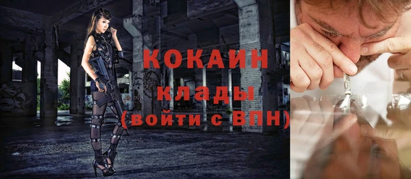 стаф Елизово
