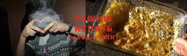 стаф Елизово