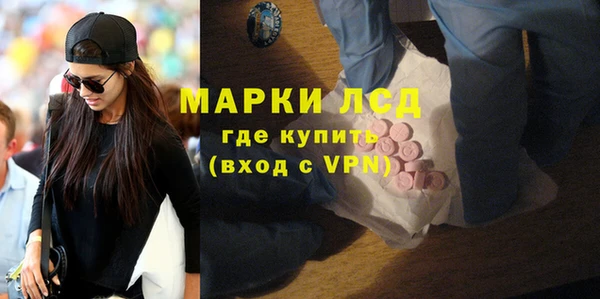 стаф Елизово